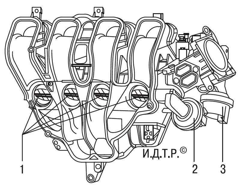 Ремень газораспределительного механизма - снятие и установка (силовой агрегат / двигатель 1.4/1.6 zetec-se / форд фокус 1 1998-2004)